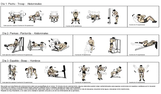 RUTINAS EN CASA! | ¡Gym Body Perfect!