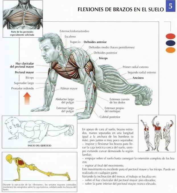 RUTINASBODYFITNESS: 04/01/2011 - 05/