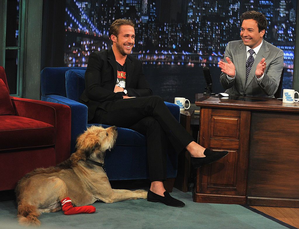 Ryan Gosling y otros actores COMESTIBLES que rescataron y adoptaron perros  | Estilo de Vida Bienestar | Univision