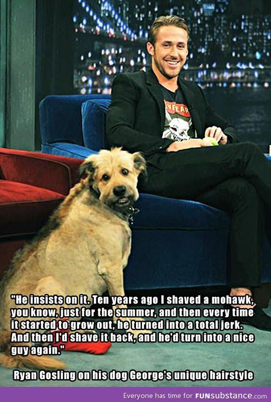 Ryan gosling on his dog's unique hairstyle - FunSubstance