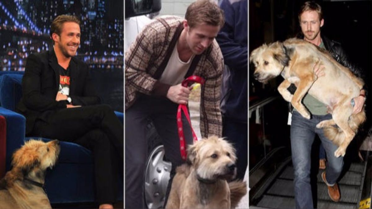 Ryan Gosling y la historia de amor con el verdadero "tesoro" de su vida