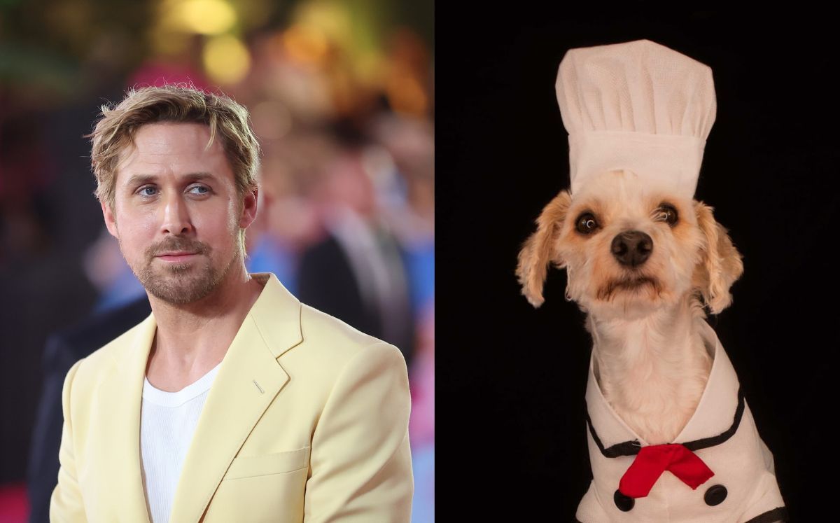 Ryan Gosling le mandó saludos a un perrito de México | Video