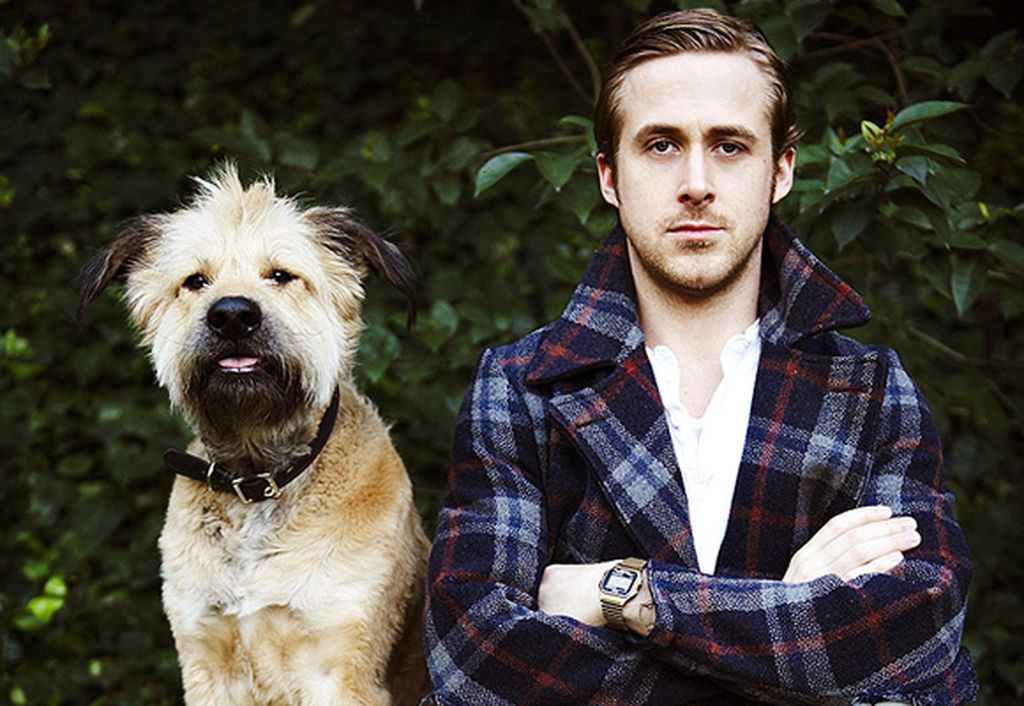 Ryan Gosling no olvida a George, su mejor amigo perruno, su compañero  constante durante 17 años