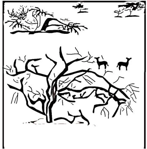 Sabana dibujo para colorear | SuperColoring.com Sabana dibujo para colorear | SuperColoring.com