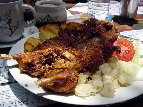 Sabias Que El cuy - Taringa!