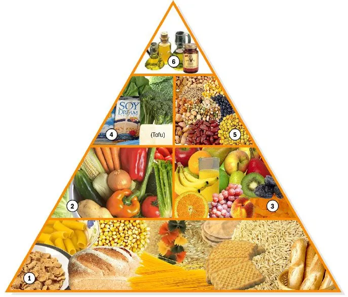 Sabiduría Vegetal: Pirámide de Alimentación Vegana