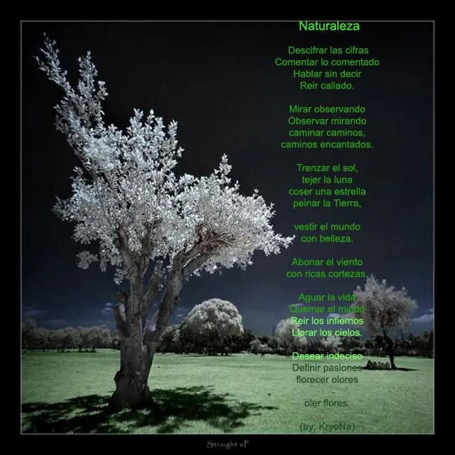 SABIPLANTAS - NORMAL NOCAIMA: POEMA A LA NATURALEZA SABIPLANTAS - NORMAL NOCAIMA: POEMA A LA NATURALEZA