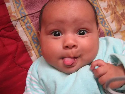 sacando la lengua | Flickr - Photo Sharing! sacando la lengua | Flickr - Photo Sharing!