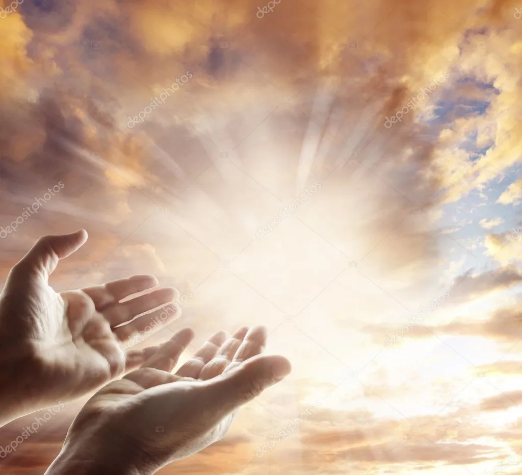 sacerdote on X: sacerdote on X: