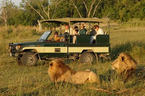 Safari Etiquette - How to Behave on Safari - African Portfolio