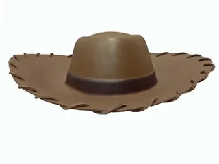 Safari Nocturno: EL SOMBRERO DE WOODY