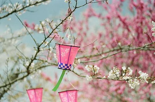 sakura : algo mas que un arbol de cerezo - Taringa! sakura : algo mas que un arbol de cerezo - Taringa!