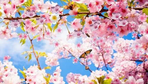 Sakura Pro Live Wallpaper v1.0.2 - Live Wallpapers - El Rincón Del ...