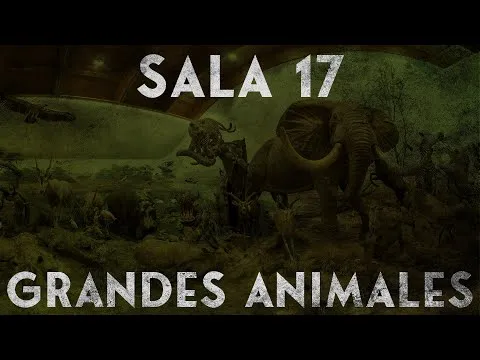 Sala 17 África (Grandes Animales Africanos) - Museo de la Fauna ...