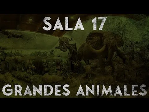 Sala 17 África (Grandes Animales Africanos) - Museo de la Fauna ... Sala 17 África (Grandes Animales Africanos) - Museo de la Fauna ...