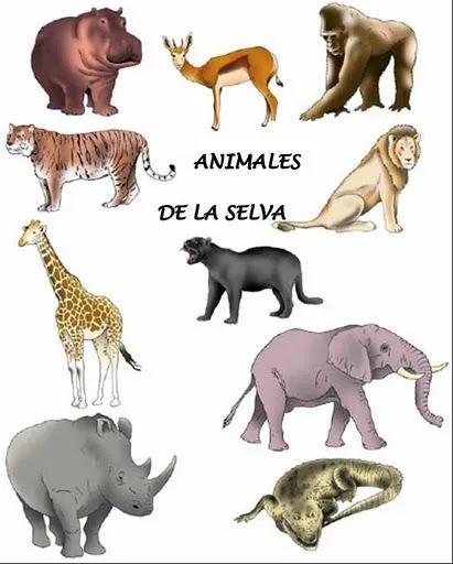 de 3 Años Jardín Maternal UNSL: "Somos admiradores de los Animales ...
