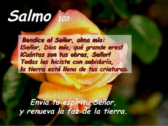 salmo-103-de-pentecostes-8-de- ... salmo-103-de-pentecostes-8-de- ...
