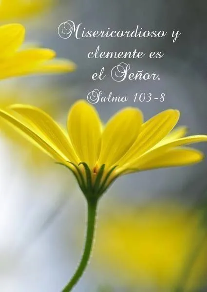 Salmo 103:8 | 02 Versículos Bíblicos en español | Pinterest Salmo 103:8 | 02 Versículos Bíblicos en español | Pinterest