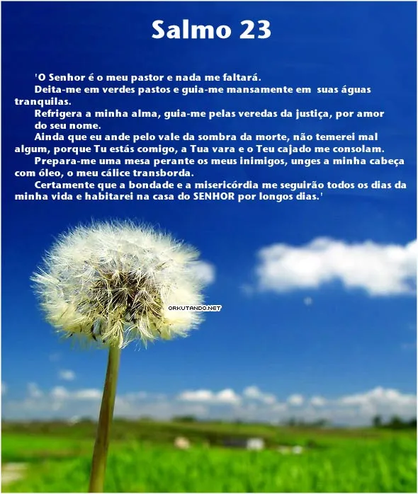 el salmo 23 - www.pasmarota.net16.net