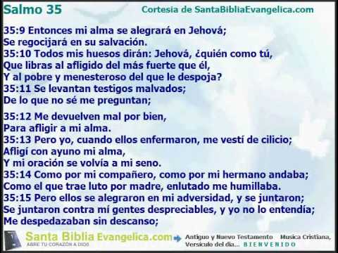 Salmo 35 Related Keywords & Suggestions - Salmo 35 Long Tail Keywords