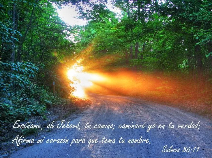 SALMO 86 | ¨Dios es vida¨ | Pinterest | Paisajes, El Camino and ...
