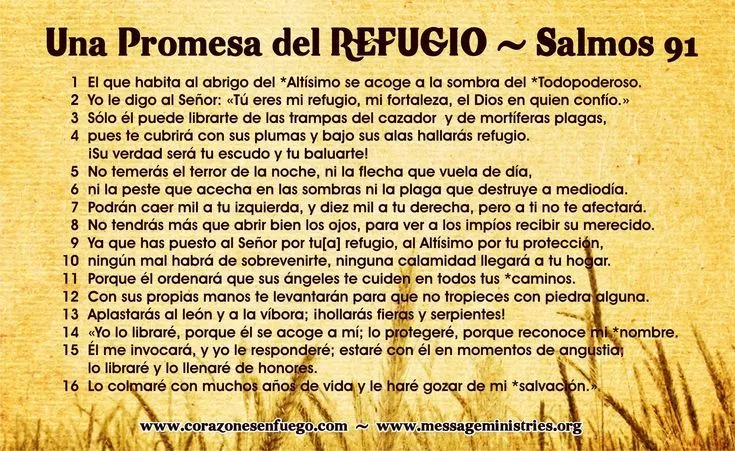 Salmos on Pinterest | Dios, Biblia and Bible Verses