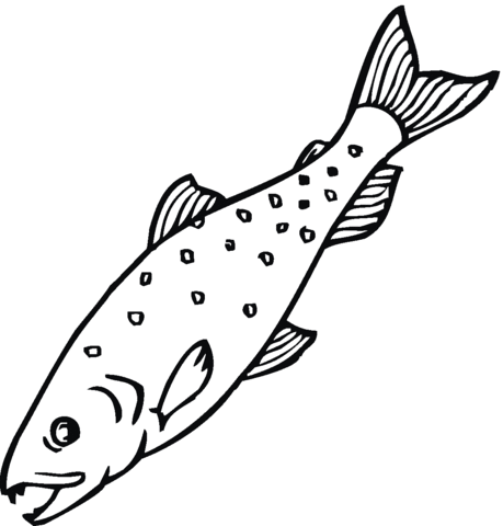 Salmon 15 coloring page | Super Coloring