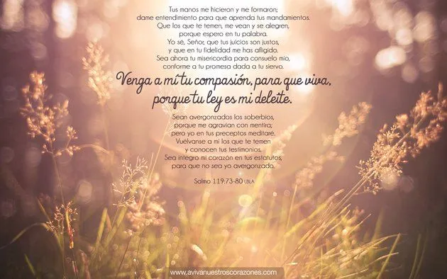 Salmos 119-73-80 | Fondos de Pantalla | Aviva Nuestros Corazones Salmos 119-73-80 | Fondos de Pantalla | Aviva Nuestros Corazones