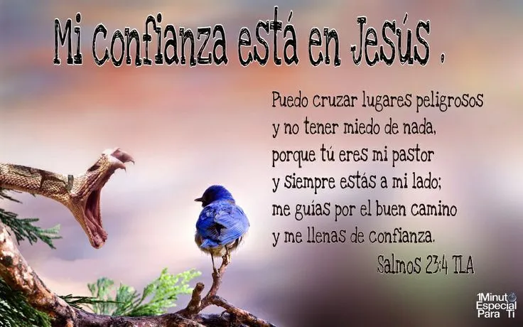 Salmos 23:4 | Biblia | Pinterest