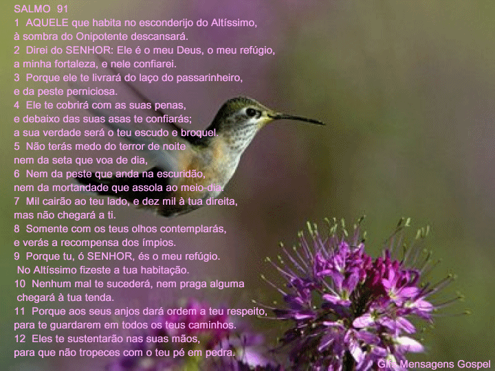 Natureza Religiosa - (Palavra de Deus luz do Mundo): SALMO 91 ...