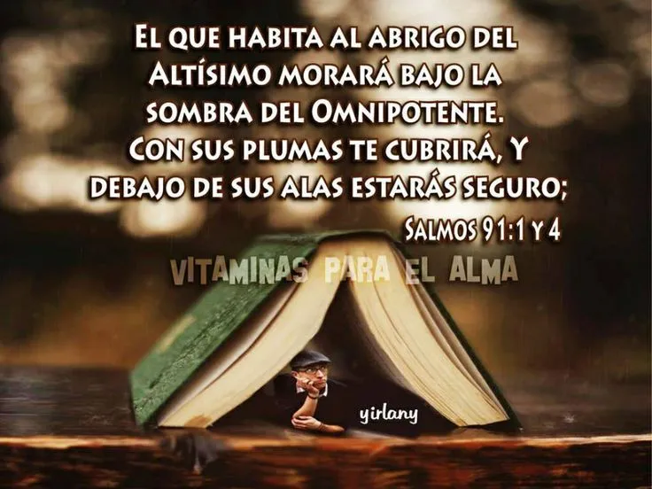 Salmos 91:1-4 | Biblia | Pinterest