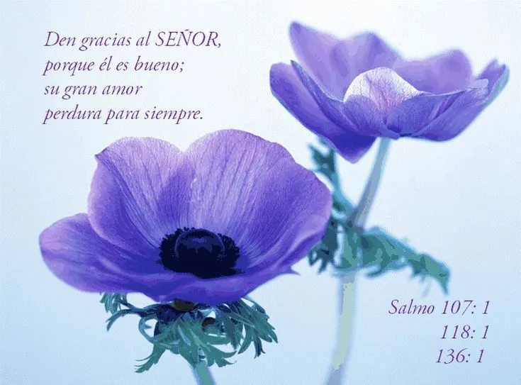 3. Salmos de Bendición on Pinterest | Biblia, Dios and Psalms