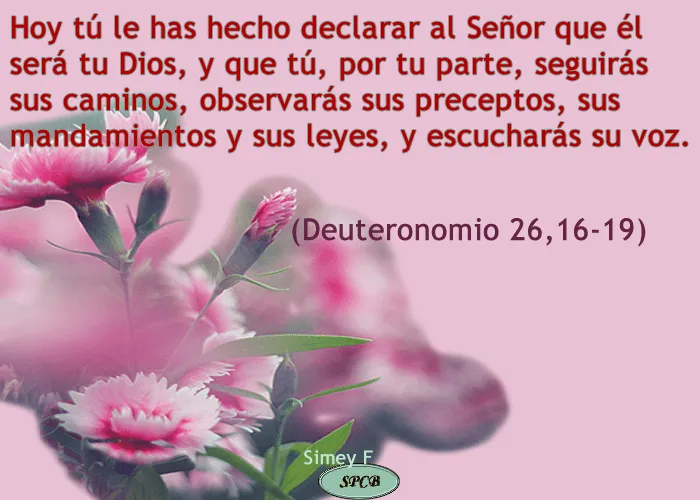 Salmos Proverbios y Citas Bíblicas: Hoy el Señor, tu Dios, te ...