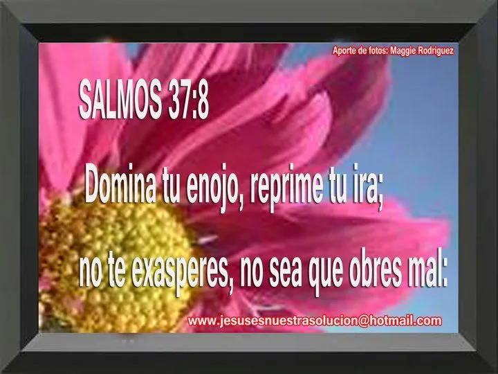 SALMOS - Tarjetas y Postales Cristianas Gratis SALMOS - Tarjetas y Postales Cristianas Gratis