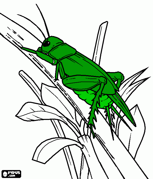 Maestra de Infantil: Los invertebrados y la primavera Maestra de Infantil: Los invertebrados y la primavera
