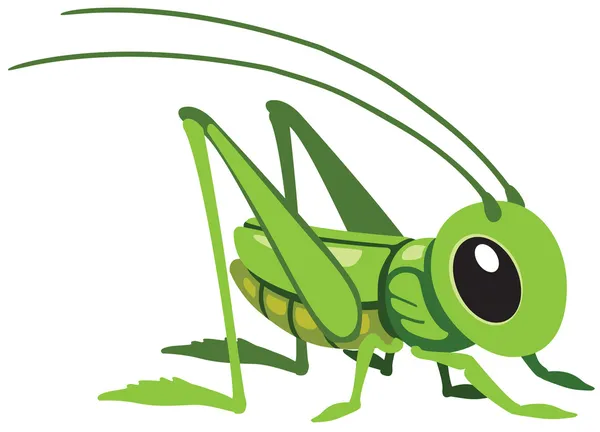 saltamontes de dibujos animados — Vector stock © insima #46608589