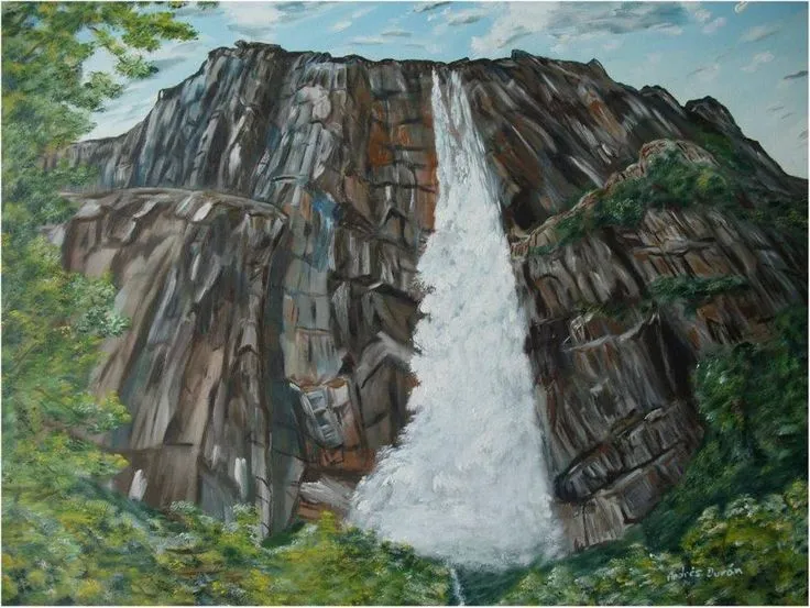 Salto Angel pintura oleo sobre tela 82cm x 62cm | Tree trunk, Tree, Plants