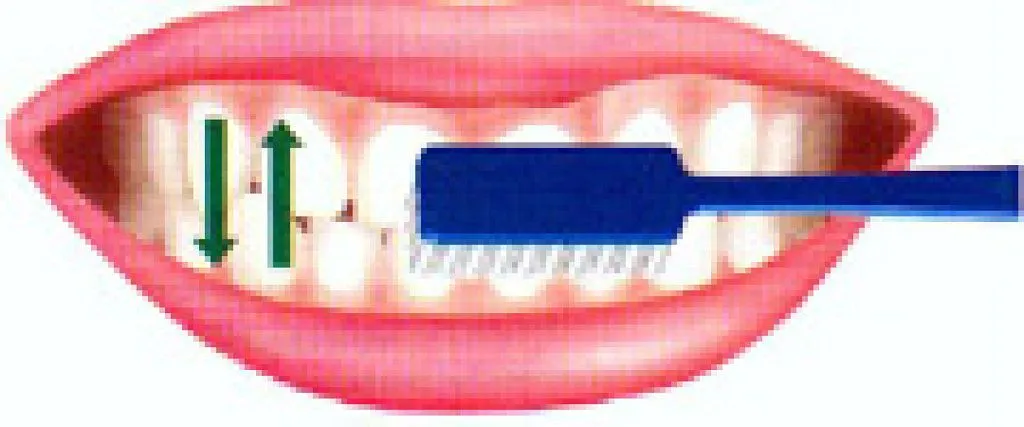 higiene bucal infantil | Ser padres es facilisimo.com higiene bucal infantil | Ser padres es facilisimo.com