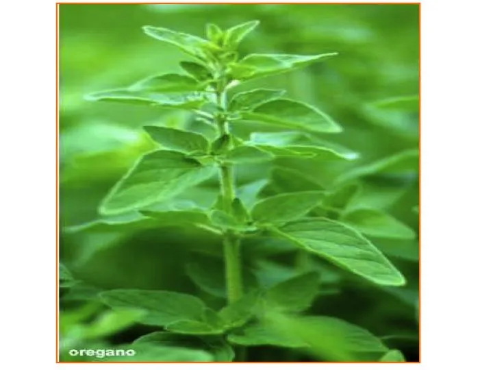 Salud en movimiento | Just another WordPress.com site | Página 32