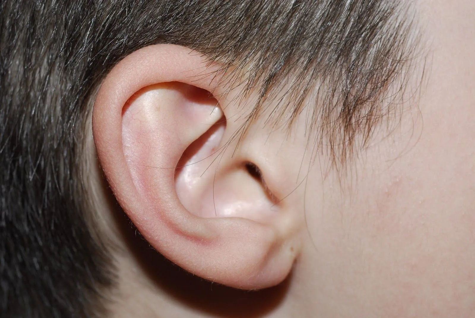 Salud y Niños: Infecciones de oído en niños