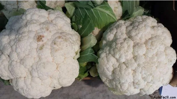 Salud: ¿ Sabías que la coliflor podría prevenir el cáncer ... Salud: ¿ Sabías que la coliflor podría prevenir el cáncer ...