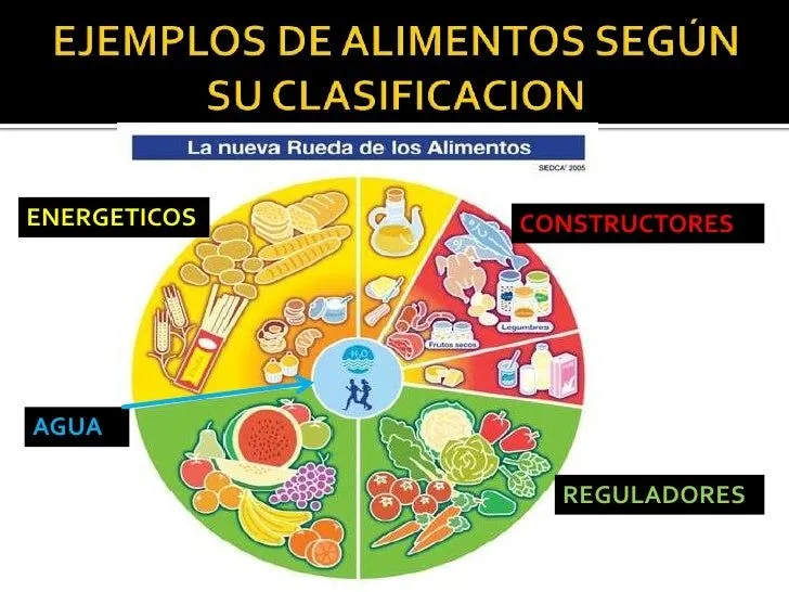 salud-y-nutricion-deportiva- ...