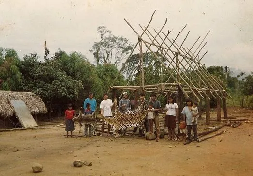 Salvar bosque para hacer arte y hacer arte para ser libres ...