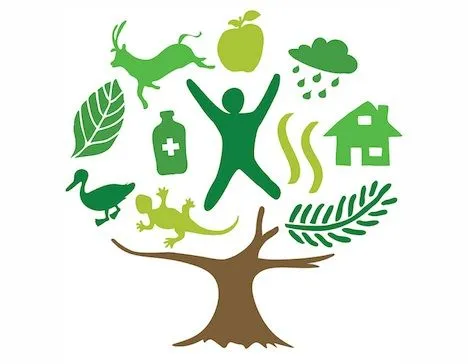 SALVEMOS AL PLANETA (SAVE THE PLANET): Cinco Acciones para cuidar ... SALVEMOS AL PLANETA (SAVE THE PLANET): Cinco Acciones para cuidar ...