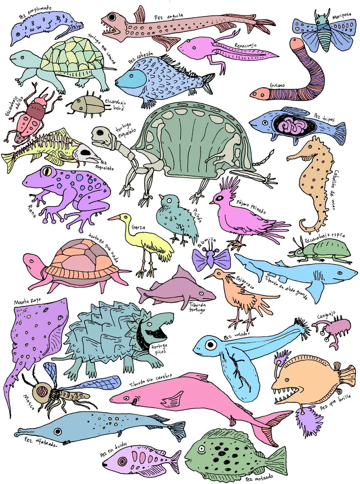 SAMURAICECI: Enciclopedia de animales
