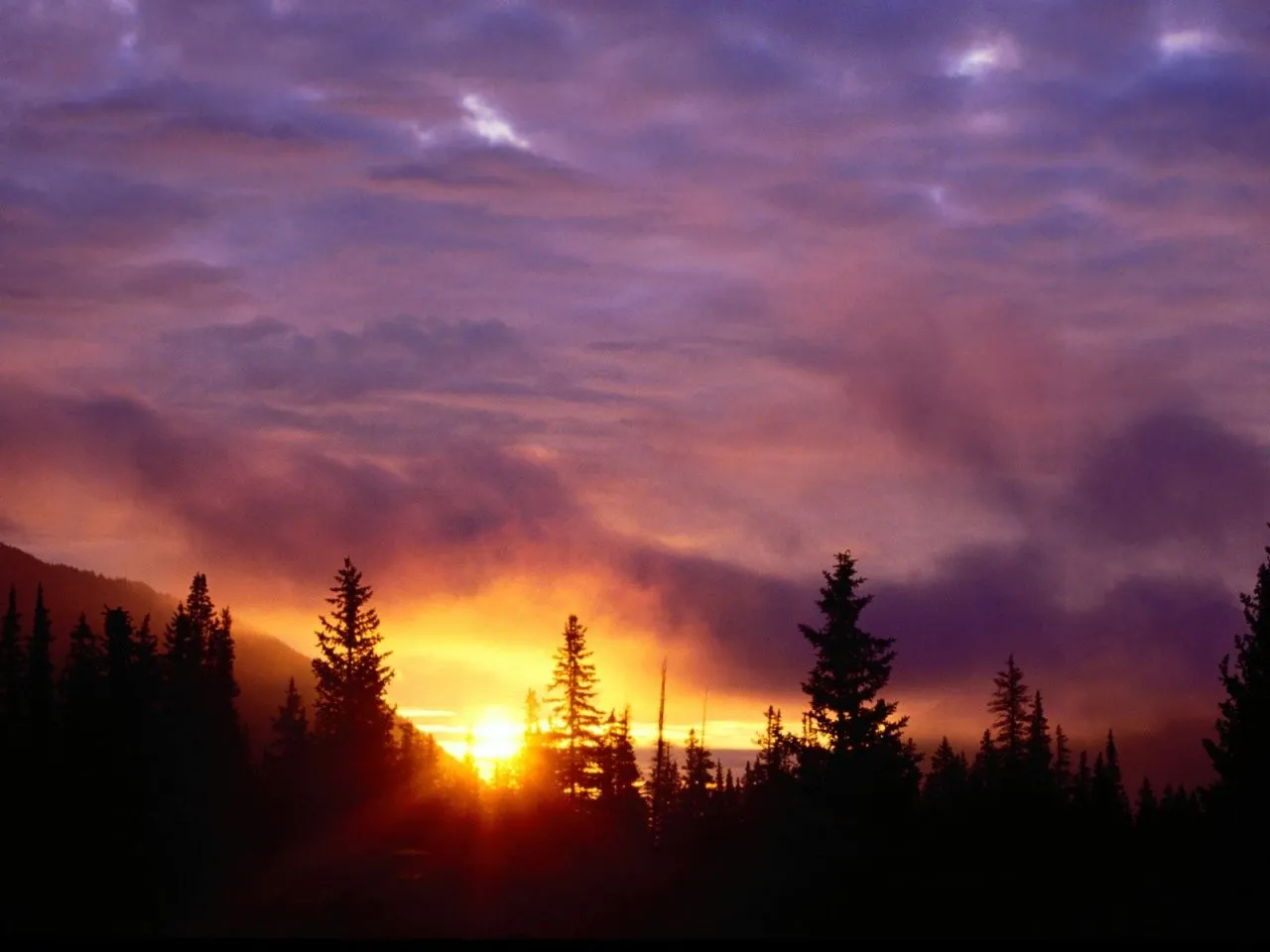 ... san isabel national forest colo Nature wallpaper | Urban Art Wallpaper ... san isabel national forest colo Nature wallpaper | Urban Art Wallpaper