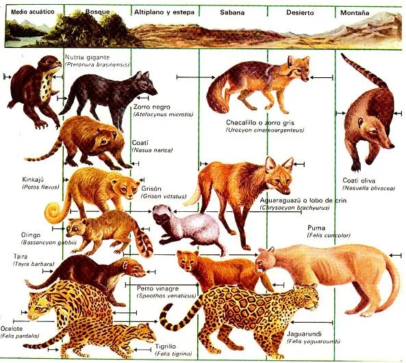 SAN ISIDRO UMBITA: abril 2012