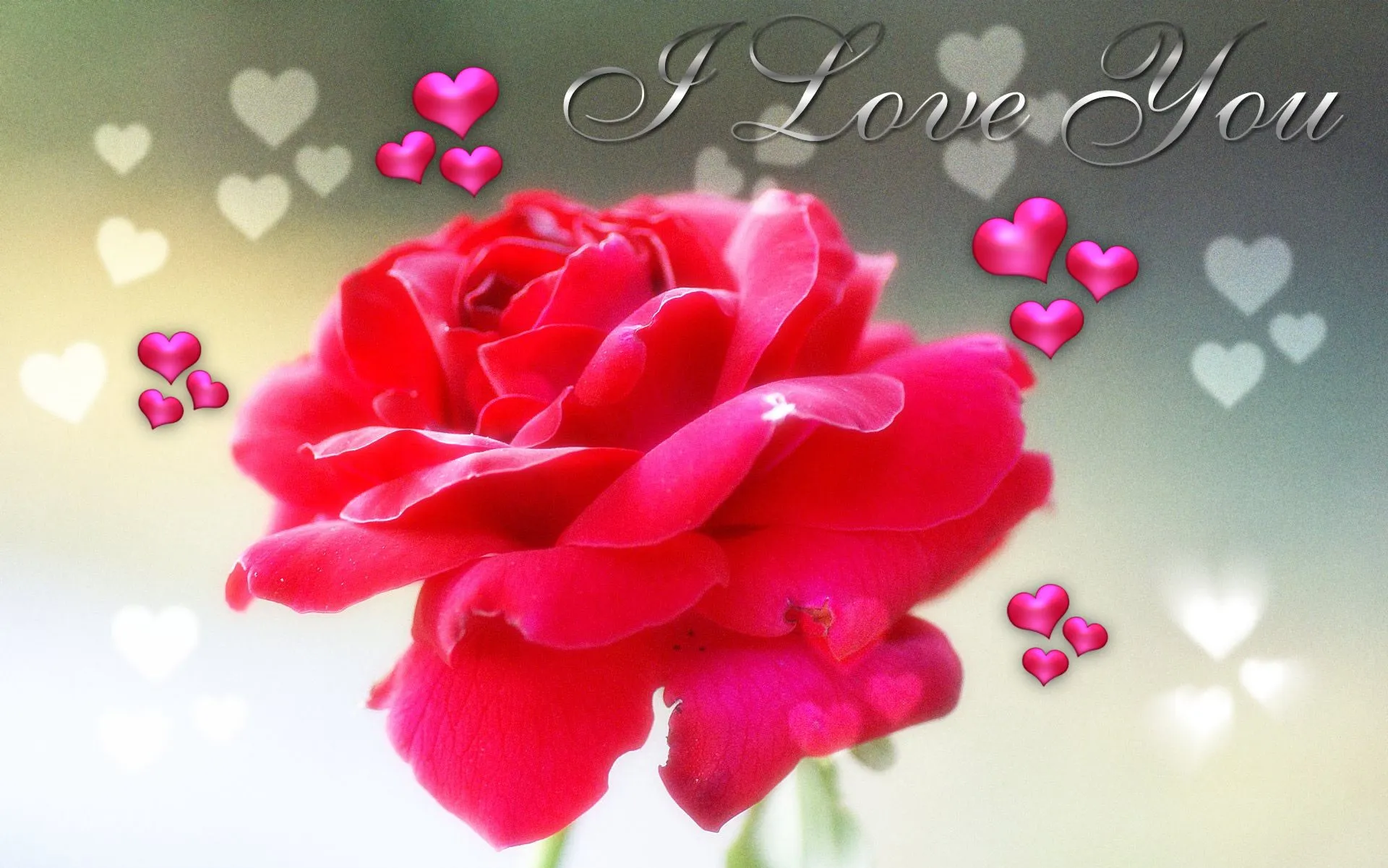 Rosas de amor wallpaper HD - Imagui