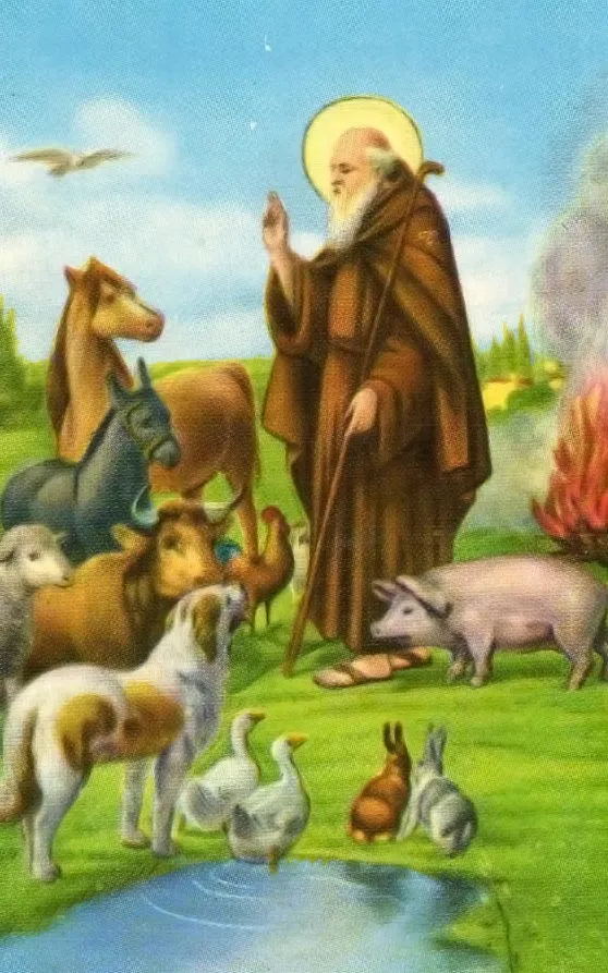 Santas, santos y santoral católico del mes de enero Santas, santos y santoral católico del mes de enero