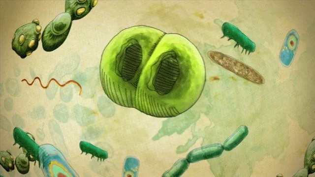 Santillana - Hongos y bacterías on Vimeo